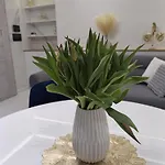 Apartmán Blu -rynek Nowa Ruda