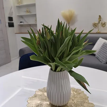 Appartamento Blu -rynek Nowa Ruda