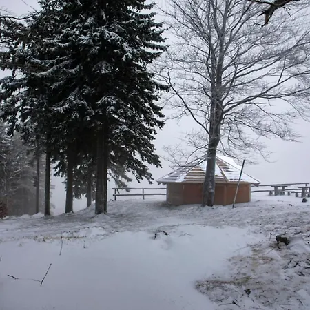 Blu -rynek Nowa Ruda