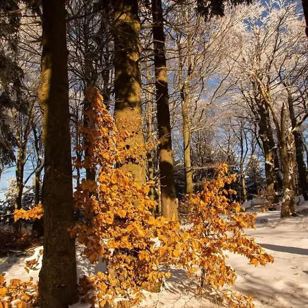 Blu -rynek Appartamento Nowa Ruda
