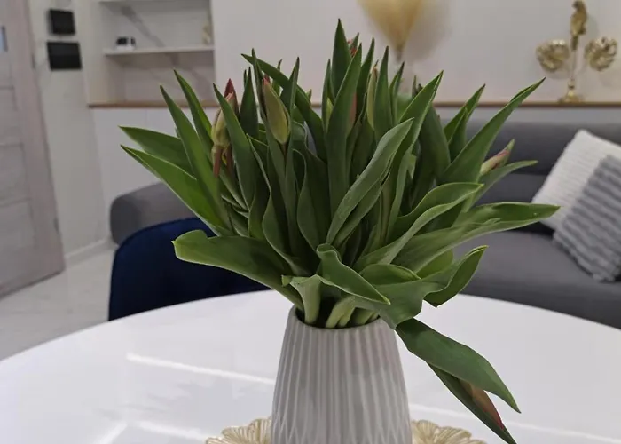 Apartmán Blu -rynek Nowa Ruda