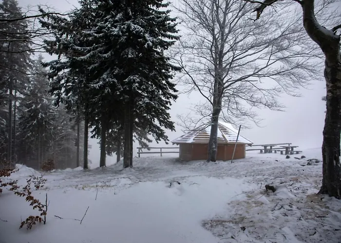 Blu -rynek Nowa Ruda
